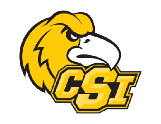 CSI Logo