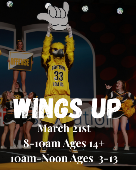 Wings Up Stunt Camp