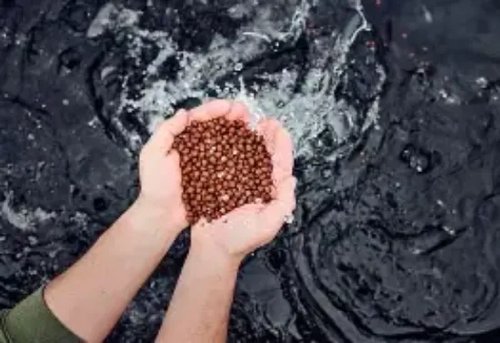 Trout Feed